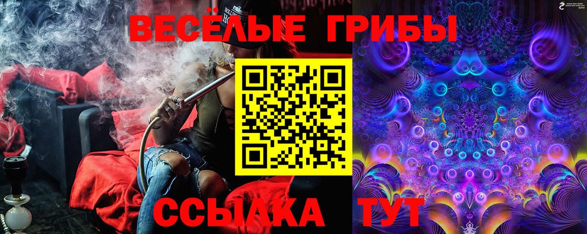 Галлюциногенные грибы GOLDEN TEACHER Северобайкальск