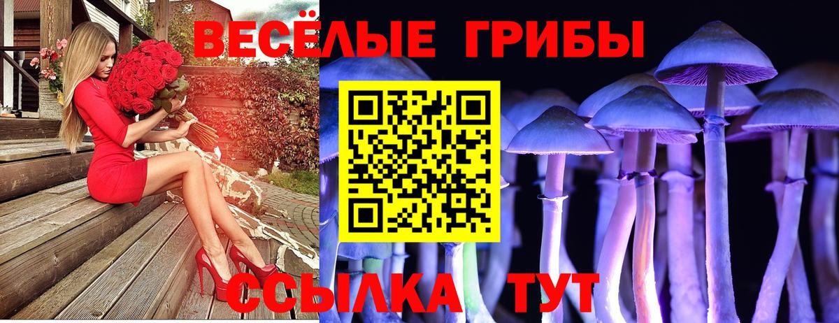 Северобайкальск  купить наркотик  Вход с VPN  Галлюциногенные грибы GOLDEN TEACHER  Галлюциногенные грибы Magic Shrooms 
